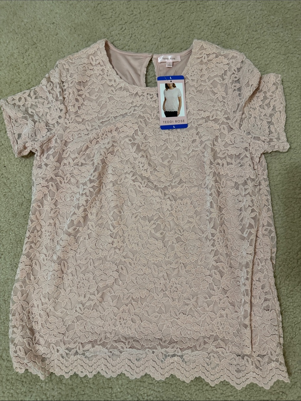 Teddi Rose Lace Short Sleeve Blouse - Blush Pink